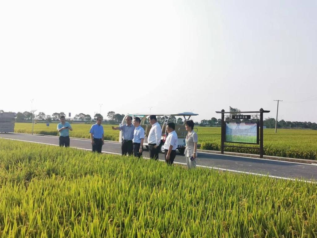 江苏兴化：“链”式发展推动主导产业“强筋壮骨”